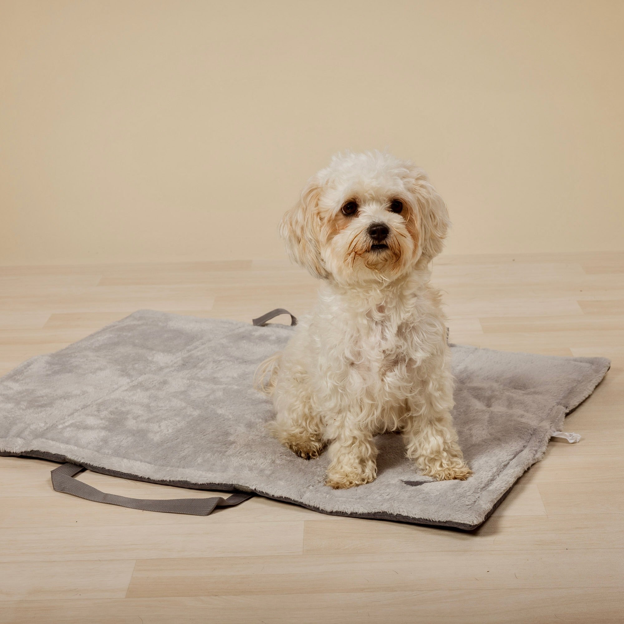 Hundedecke „Hotel & Restaurantdecke“