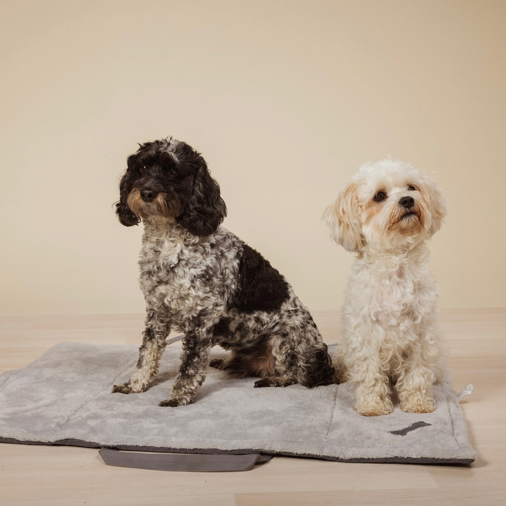 Hundedecke „Hotel & Restaurantdecke“