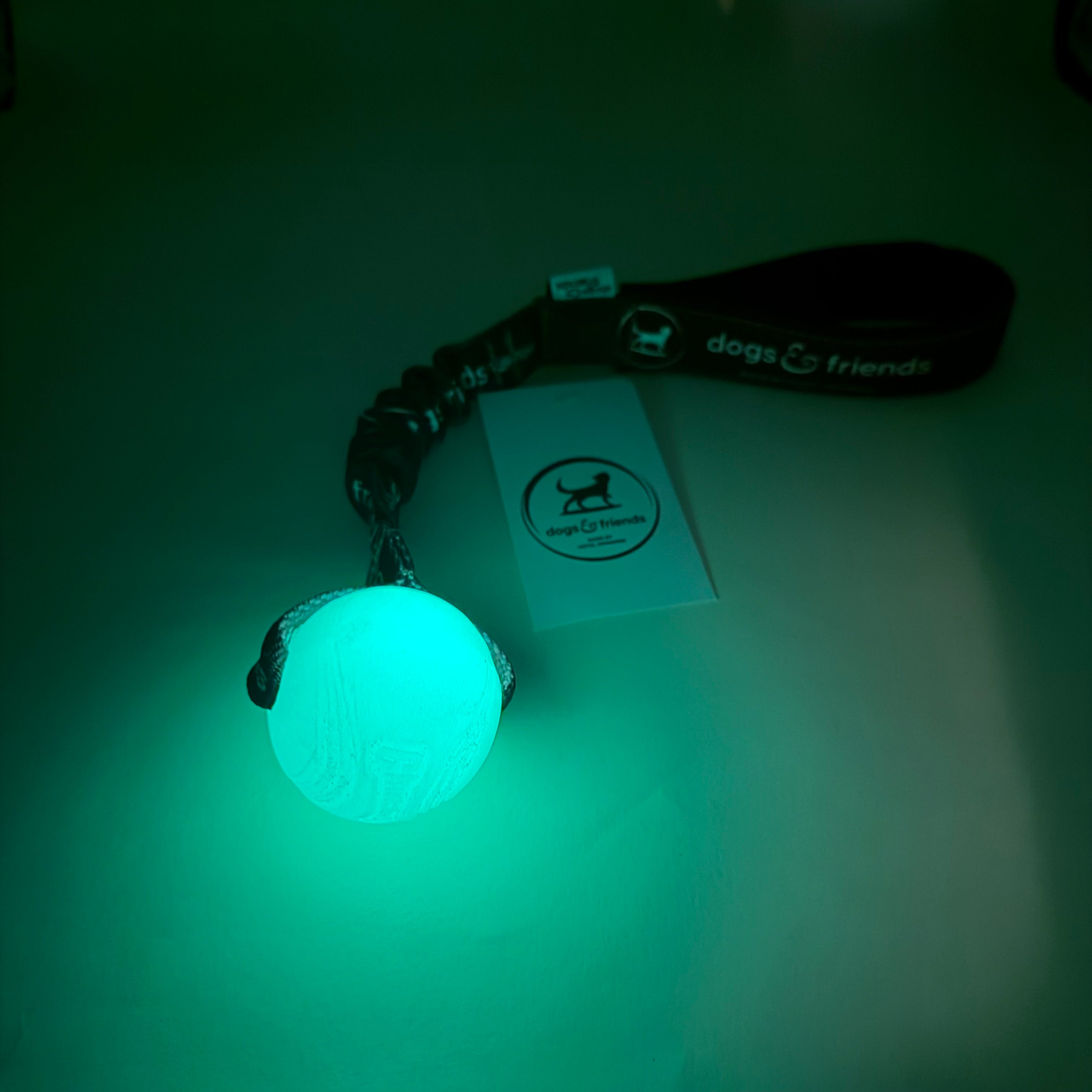 dogs&friends Chuck it Glow S with Bungee