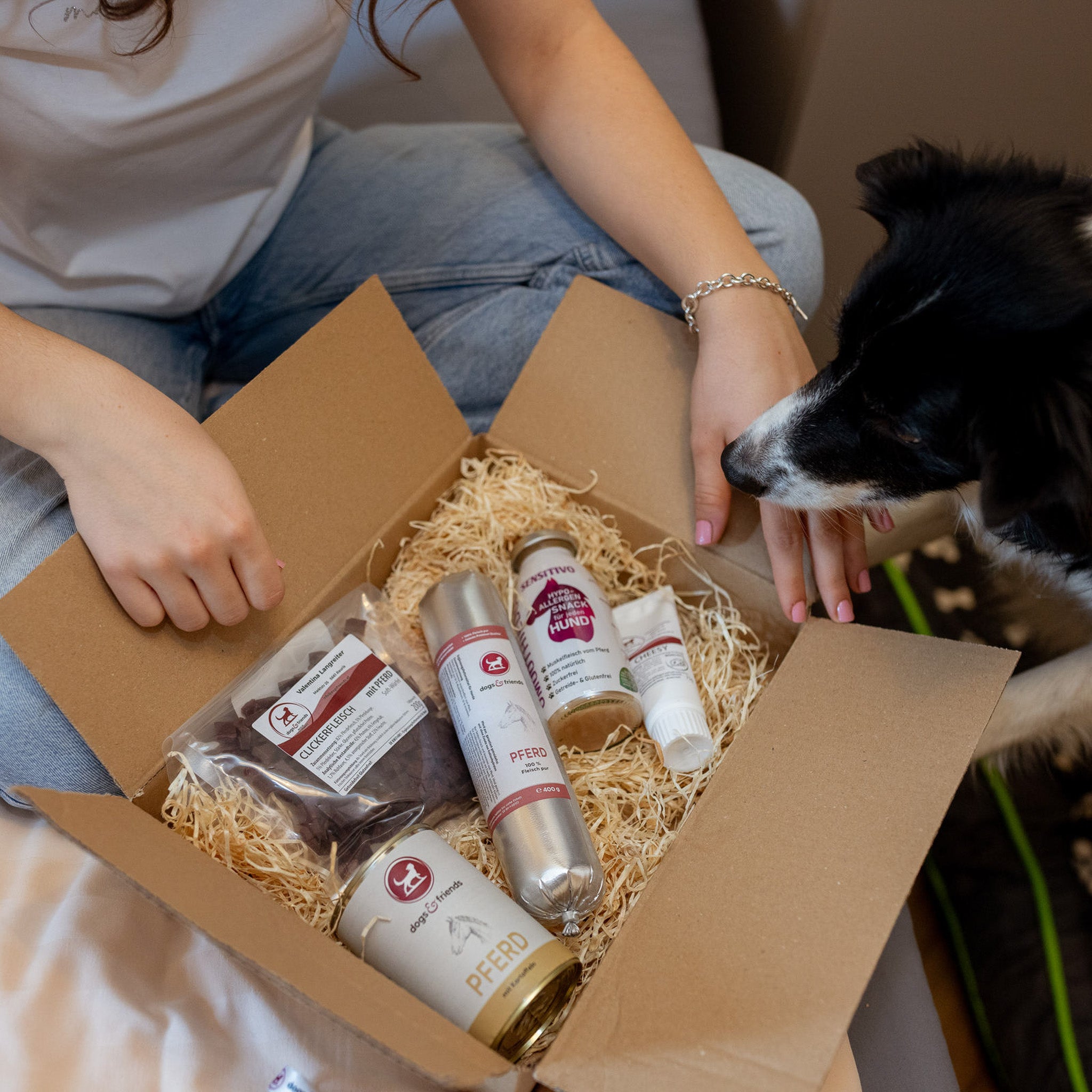 Überraschungsbox DOGS Hypoallergene