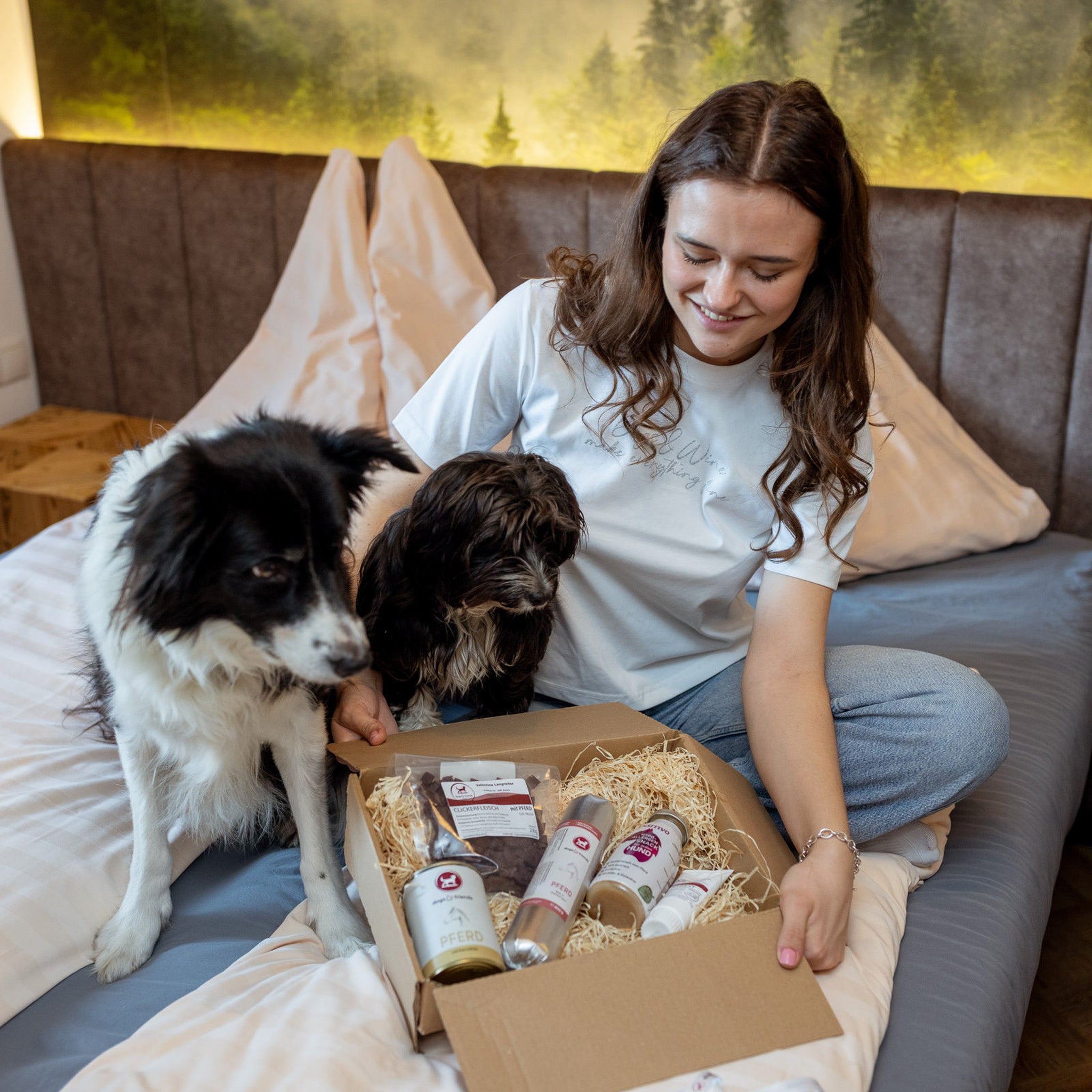 Überraschungsbox DOGS Hypoallergene